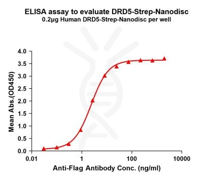 elisa-flp120233 drd5 strep elisa1