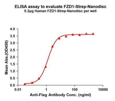 elisa-flp120242 fzd1 strep elisa1