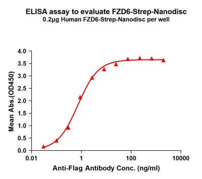 elisa-flp120246 fzd6 strep elisa1