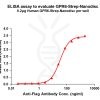 elisa-flp120313 gpr6 strep elisa1
