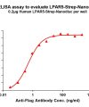 elisa-flp120338 lpar5 strep elisa1