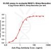 elisa-flp120344 mas1l strep elisa1