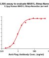 elisa-flp120344 mas1l strep elisa1