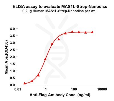 elisa-flp120344 mas1l strep elisa1