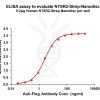 elisa-flp120373 ntsr2 strep elisa1