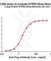 elisa-flp120373 ntsr2 strep elisa1