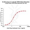 elisa-flp120379 opn3 strep elisa1