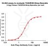 elisa-flp120473 tas2r38 strep elisa1