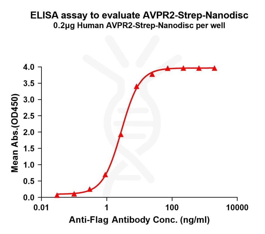 Human AVPR2-Strep full length protein-synthetic nanodisc-Full-length ...