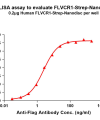 elisa-flp120515 flvcr1 strep elisa1