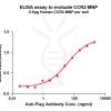 elisa-flp200028 ccr2 elisa1