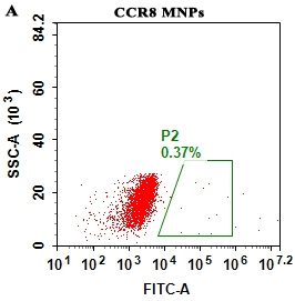 fc-FLP100001 CCR8 Fig.1A FC 1