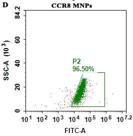 fc-FLP100001 CCR8 Fig.1D FC 1