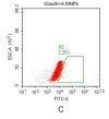 fc-FLP100004 CLDN6 Fig.2C FC 1