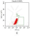 fc-FLP100004 CLDN6 Fig.2C FC 1