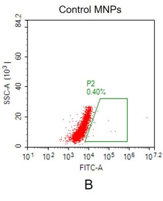 fc-FLP100012 SSTR2 Fig.2B FC 1
