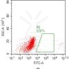 fc-FLP100012 SSTR2 Fig.2C FC 1
