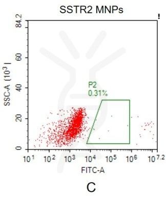 fc-FLP100012 SSTR2 Fig.2C FC 1