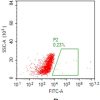 fc-FLP100016 CCR4 Fig.2B FC 1