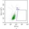 fc-FLP100017 CLDN18.2 Fig.2A FC 1