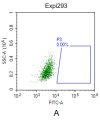 fc-FLP100017 CLDN18.2 Fig.2A FC 1
