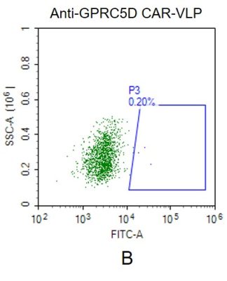 fc-FLP100017 CLDN18.2 Fig.2B FC 1