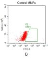 fc-FLP100019 ADORA2A Fig.2B FC 1