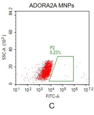 fc-FLP100019 ADORA2A Fig.2C FC 1