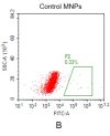 fc-FLP100026 CD20 Fig.2B FC 1
