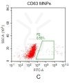 fc-FLP100034 CD63 Fig.2C FC 1