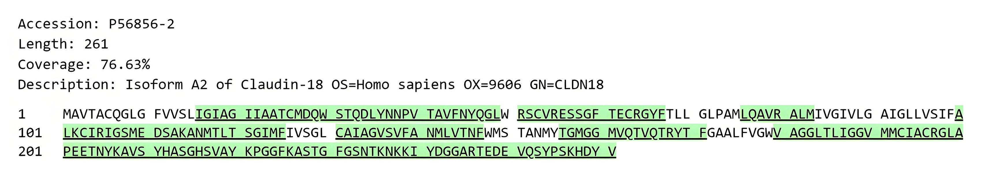 flp100014-cldn18.2-ms1.png