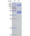 page-flp100107 adgrg2 sp1
