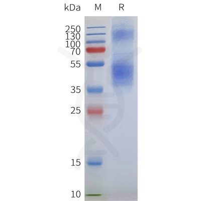 page-flp100238 ffar4 sp1
