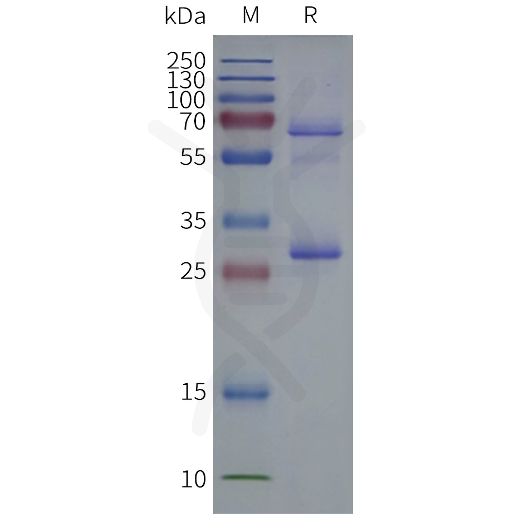 flp400014b-cldn18.2-sp1.png