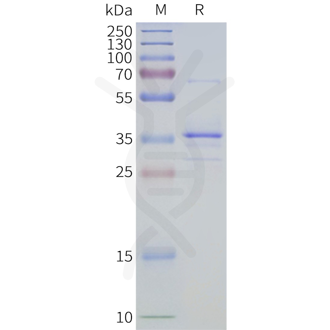 flp400027-cd20-sp1.png