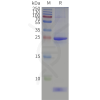 page-flp400158 aqp5 sp1