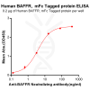 elisa-PME100043 BAFF hFc ELISA Fig3