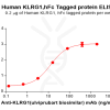 elisa-PME100321 KLRG1 Fig.2 Elisa 1