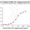 elisa-PME100543 Alpha S RBD hFc→ACE2 mFc ELISA Fig2