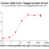 elisa-PME100554 JAM A Fig.2 Elisa 1