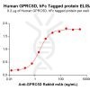 elisa-PME100677 GPRC5D hFc→DM91 ELISA Fig2