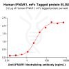 elisa-PME100737 IFNAR1 mFc ELISA Fig2
