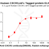 elisa-PME100799 CXCR3 Fig.2 Elisa 1