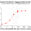 elisa-PME100868 FOLR2 Fig.2 Elisa 1
