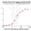 elisa-PME100919 CCL2 hFc ELISA Fig2