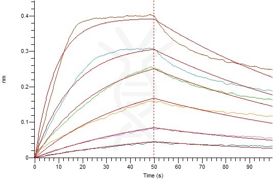 PME30037-CS19-P60568-ELISA-2.jpg