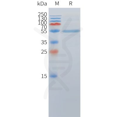 sp-pme c100063 dll3 sp1 1