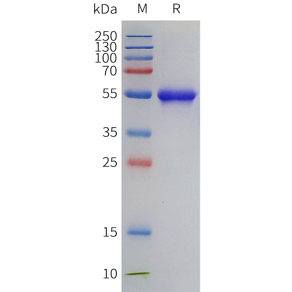 pme-c100111-cd5-sp1.png
