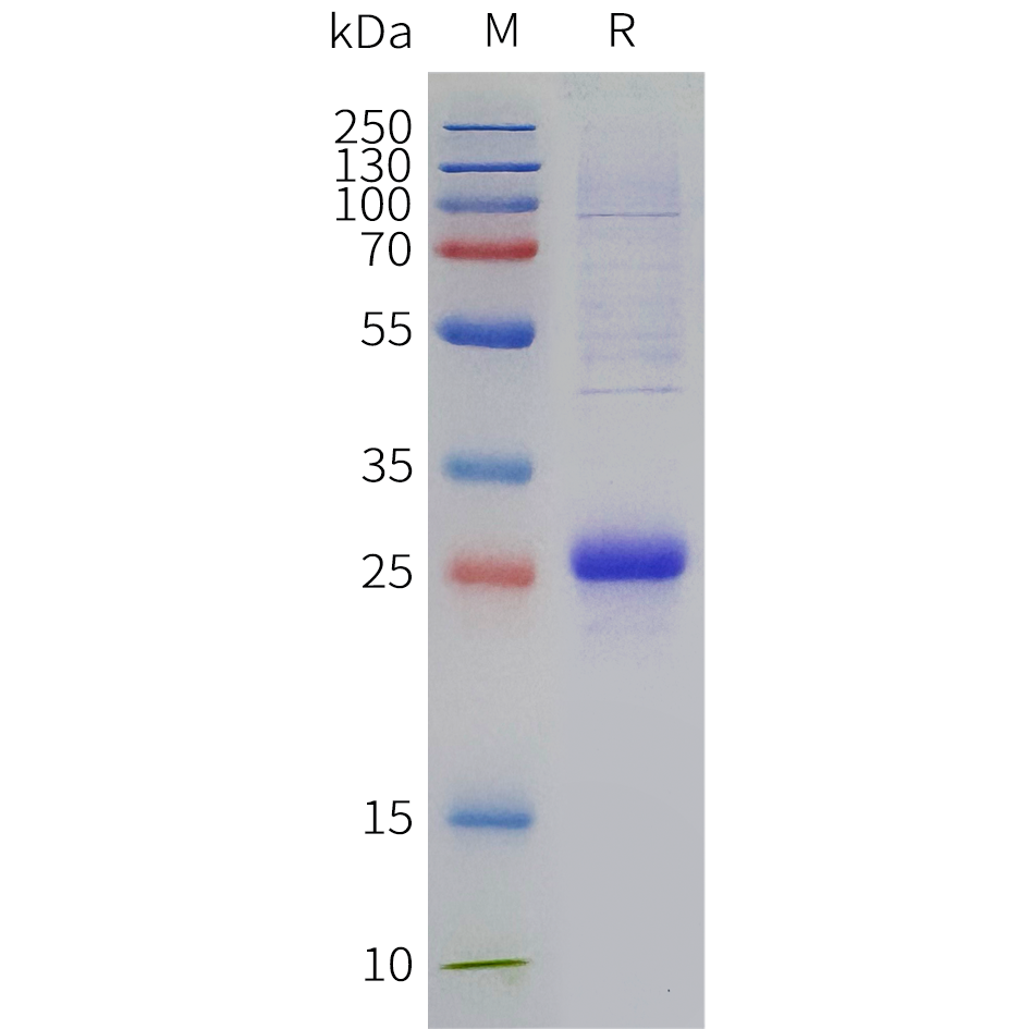 pme-c100115-cd8a-sp1.png