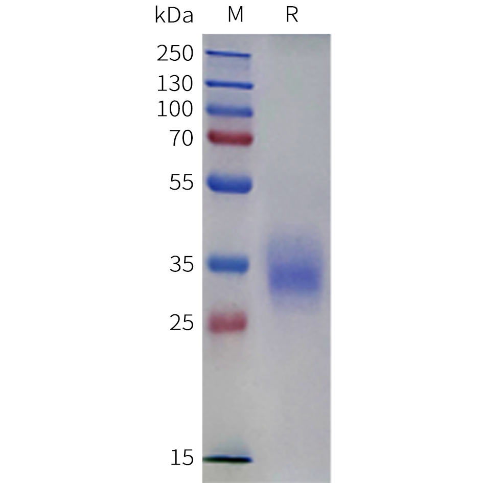 pme-c100118-cd2-sp1.png